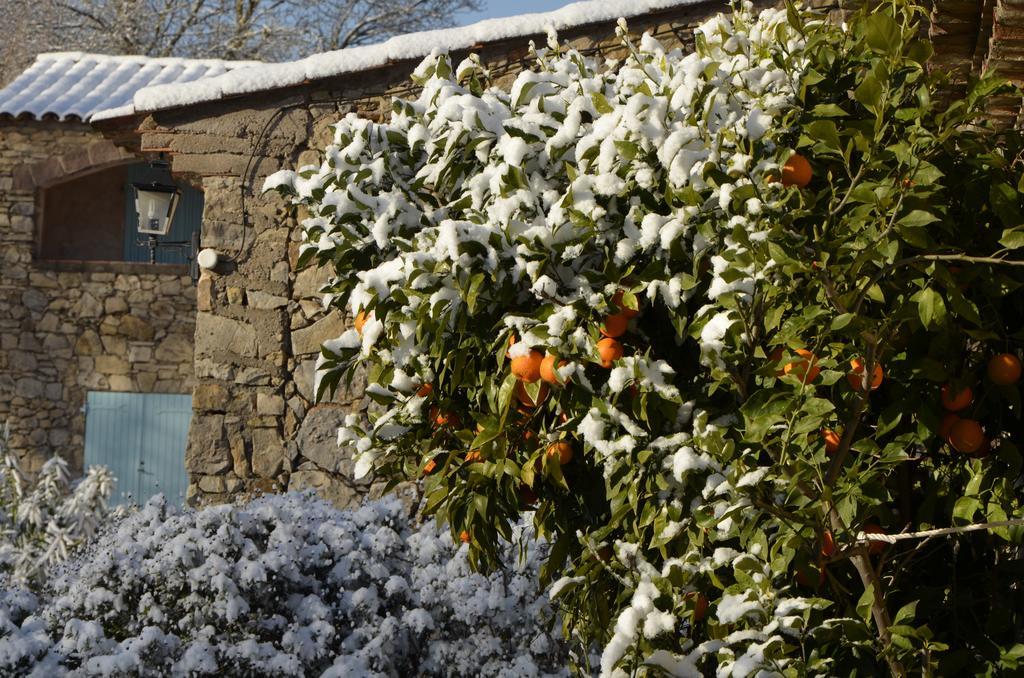 Hotel La Pierrerie Grimaud Exterior foto